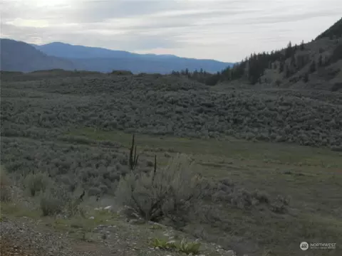 1111 Tbd Blue Lake Rd, Oroville, WA 98844