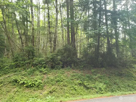 0 Haskel Hill Rd, Shelton, WA 98584