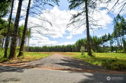 185 E Hale Rd, Napavine, WA 98596