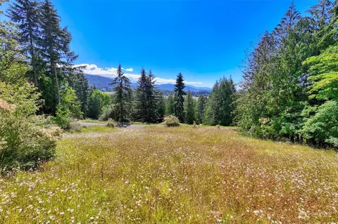 0 Fox Hollow Rd, Sequim, WA 98382 photo 3