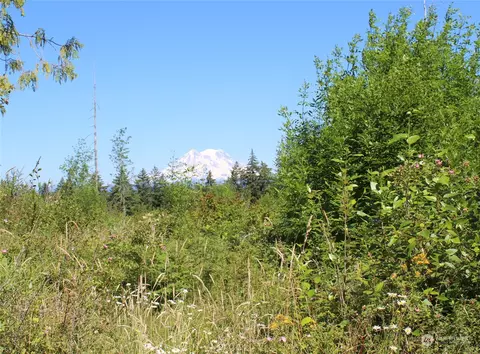 41224 8th Ave S, Roy, WA 98580