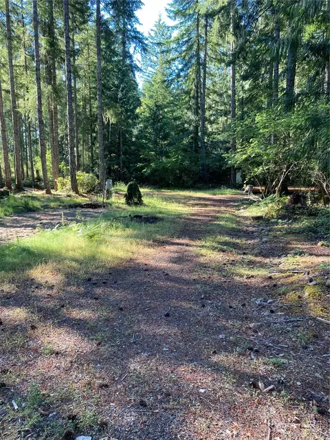 81 N Mallard Way E, Hoodsport, WA 98548