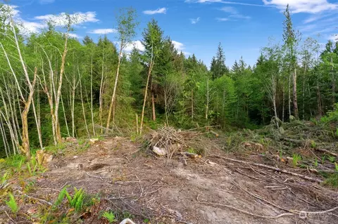 435 108 Cispus Rd, Randle, WA 98377 photo 16