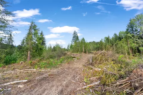 435 108 Cispus Rd, Randle, WA 98377 photo 10