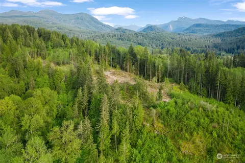 435 108 Cispus Rd, Randle, WA 98377 photo 40