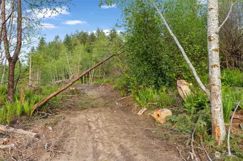 435 108 Cispus Rd, Randle, WA 98377 photo 14