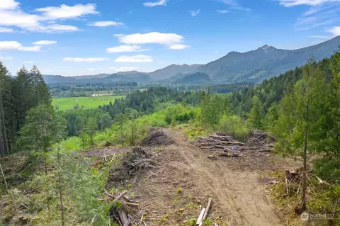 435 108 Cispus Rd, Randle, WA 98377 photo 24