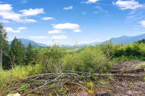 435 108 Cispus Rd, Randle, WA 98377 photo 9