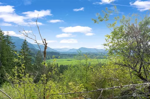 435 108 Cispus Rd, Randle, WA 98377 photo 2