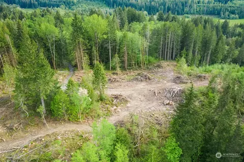 435 108 Cispus Rd, Randle, WA 98377 photo 38