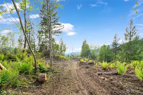 435 108 Cispus Rd, Randle, WA 98377 photo 15