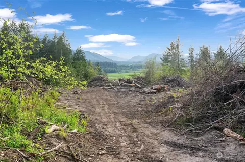 435 108 Cispus Rd, Randle, WA 98377 photo 3