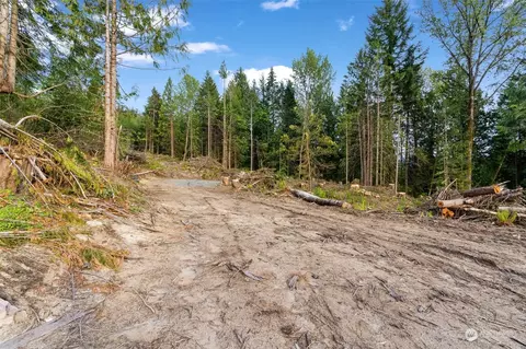 435 108 Cispus Rd, Randle, WA 98377 photo 11