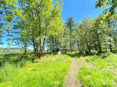 4271 SE Lot B Se Lynch Rd, Shelton, WA 98584