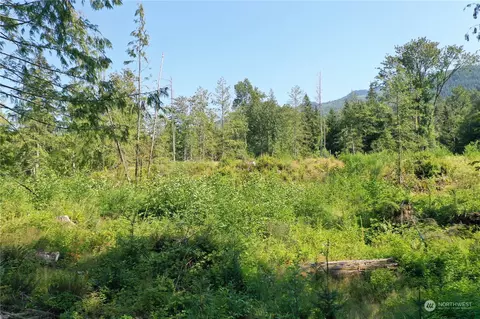 36016 Mann Rd, Sultan, WA 98294 photo 39