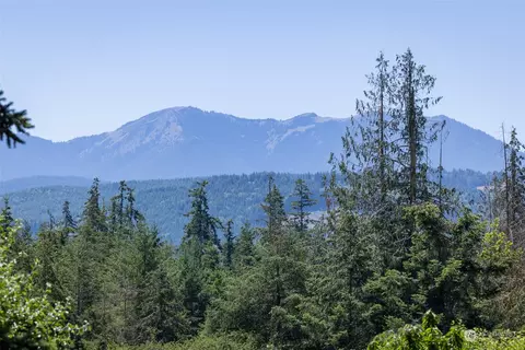 Other - 92 Michelle Ln, Sequim, WA 98382 photo 1 of 9