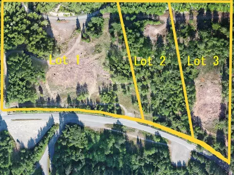 1 Nnnn Mt Jupiter Rd, Brinnon, WA 98320 photo 4
