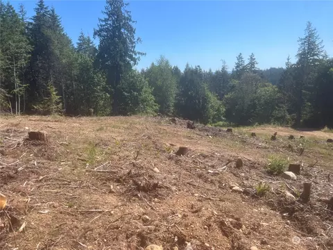 1 Nnnn Mt Jupiter Rd, Brinnon, WA 98320 photo 14