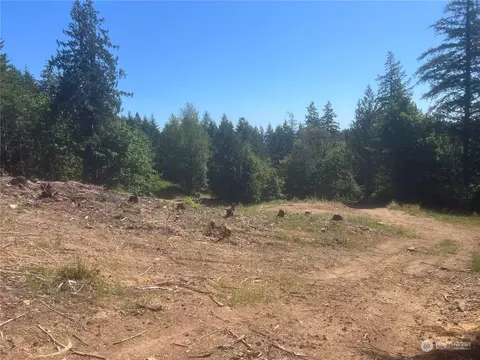 1 Nnnn Mt Jupiter Rd, Brinnon, WA 98320 photo 19