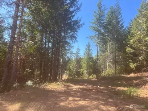 1 Nnnn Mt Jupiter Rd, Brinnon, WA 98320 photo 12