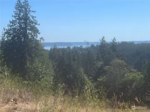 1 Nnnn Mt Jupiter Rd, Brinnon, WA 98320 photo 5