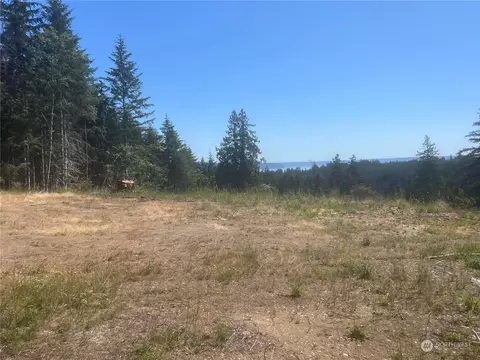 1 Nnnn Mt Jupiter Rd, Brinnon, WA 98320 photo 7