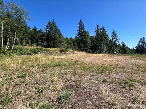 1 Nnnn Mt Jupiter Rd, Brinnon, WA 98320 photo 17