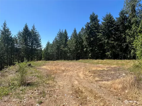 1 Nnnn Mt Jupiter Rd, Brinnon, WA 98320 photo 8