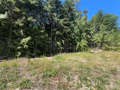 1 Nnnn Mt Jupiter Rd, Brinnon, WA 98320 photo 16