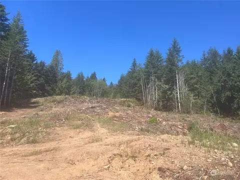 1 Nnnn Mt Jupiter Rd, Brinnon, WA 98320 photo 13