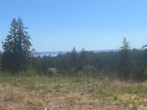 1 Nnnn Mt Jupiter Rd, Brinnon, WA 98320 photo 6