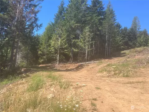 1 Nnnn Mt Jupiter Rd, Brinnon, WA 98320 photo 9
