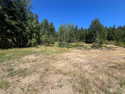 1 Nnnn Mt Jupiter Rd, Brinnon, WA 98320 photo 15