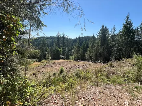 1 Nnnn Mt Jupiter Rd, Brinnon, WA 98320 photo 18