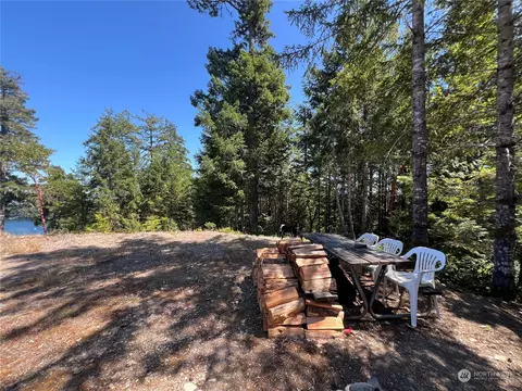2 Nnnn Mt Jupiter Rd, Brinnon, WA 98376