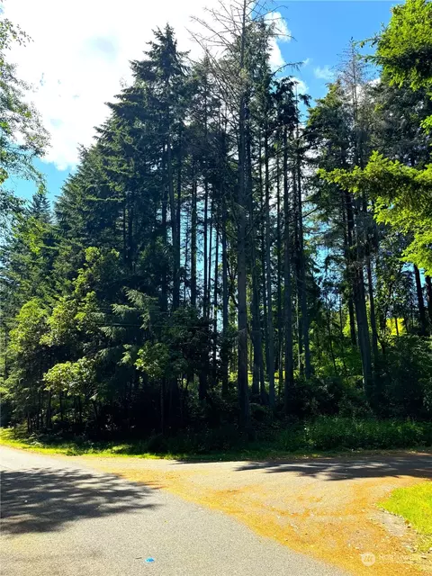 10110 Suncrest Dr, Anderson Island, WA 98303