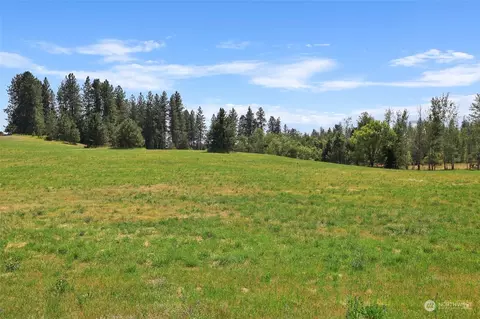 5610 E Handy Rd, Colbert, WA 99005 photo 21