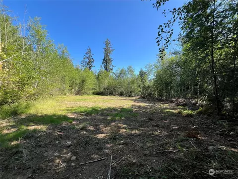 24 X Munn Rd, Quilcene, WA 98376