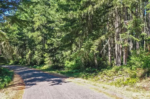 11004 Spruce Dr, Anderson Island, WA 98303