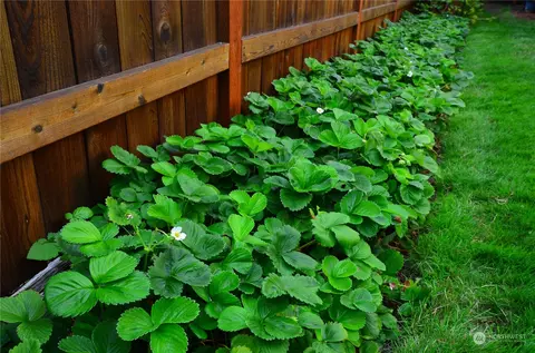 Other - 1326 137th St SE, Mill Creek, WA 98012 photo 4 of 7