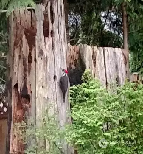 Other - 1326 137th St SE, Mill Creek, WA 98012 photo 6 of 7