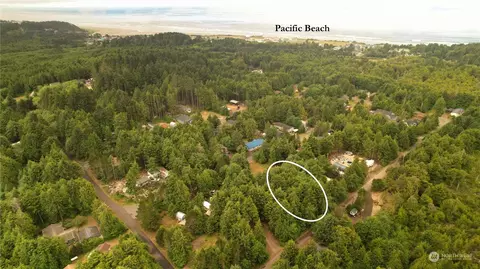 52 Rainbow Ln, Pacific Beach, WA 98571