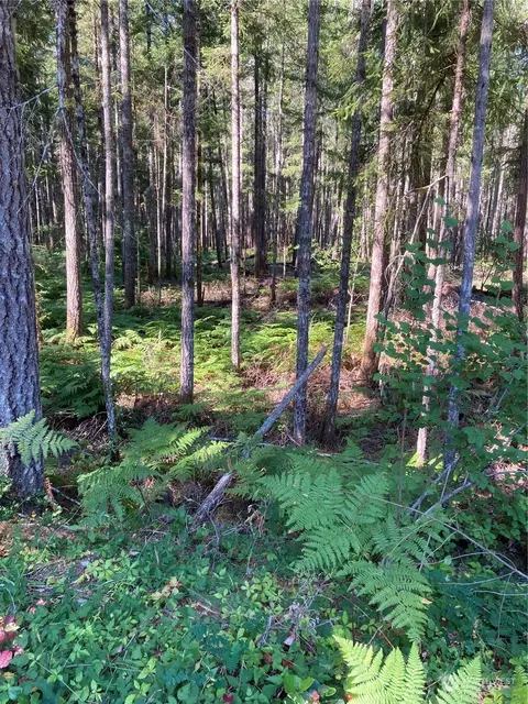 341 N Rainbow Way W, Hoodsport, WA 98548