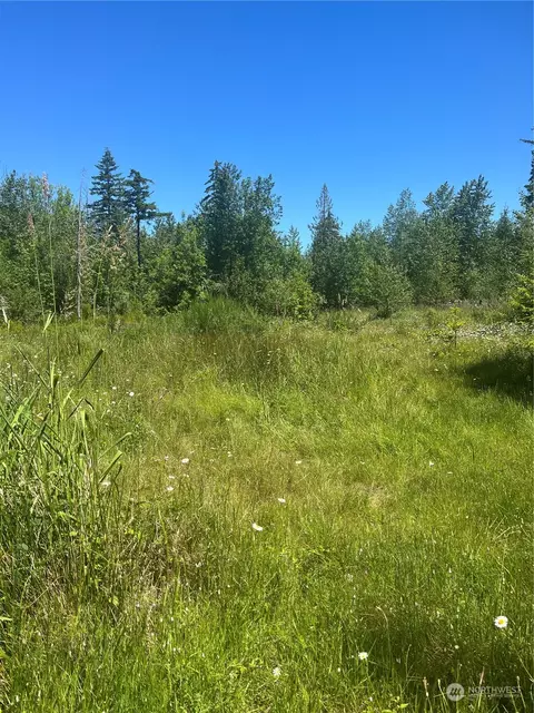0 Nnn Lot 1 Roedomsky Rd E, Eatonville, WA 98328