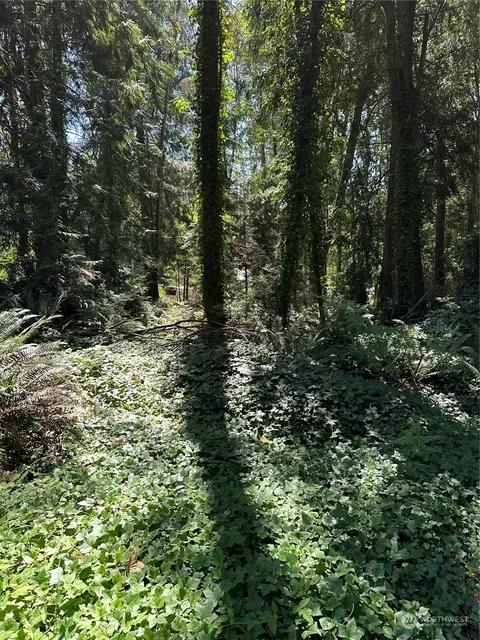 17 Fern St NE, Indianola, WA 98342