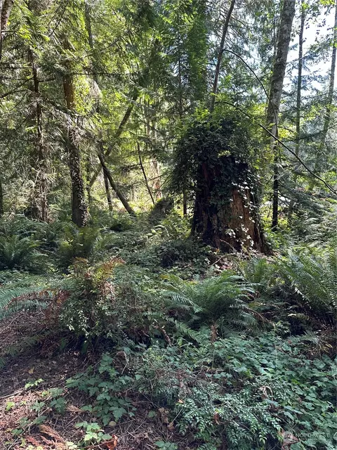 18 Fern St NE, Indianola, WA 98342