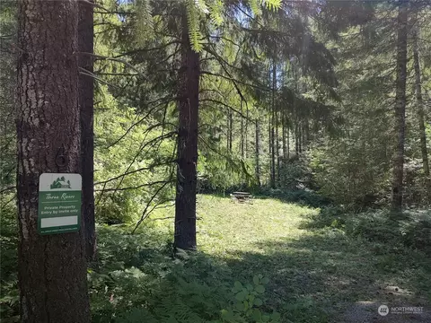 6 Lahar Ln #6, Cougar, WA 98616