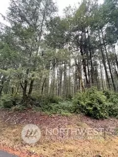11715 Country Club Dr, Anderson Island, WA 98303