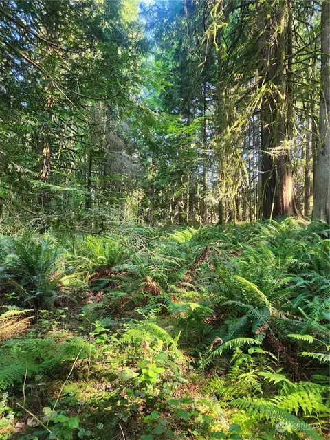 0 S Nnn S Lake Roesiger Rd Lots 202122, Snohomish, WA 98290