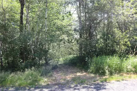 66 Tulalip Trl, Elma, WA 98541